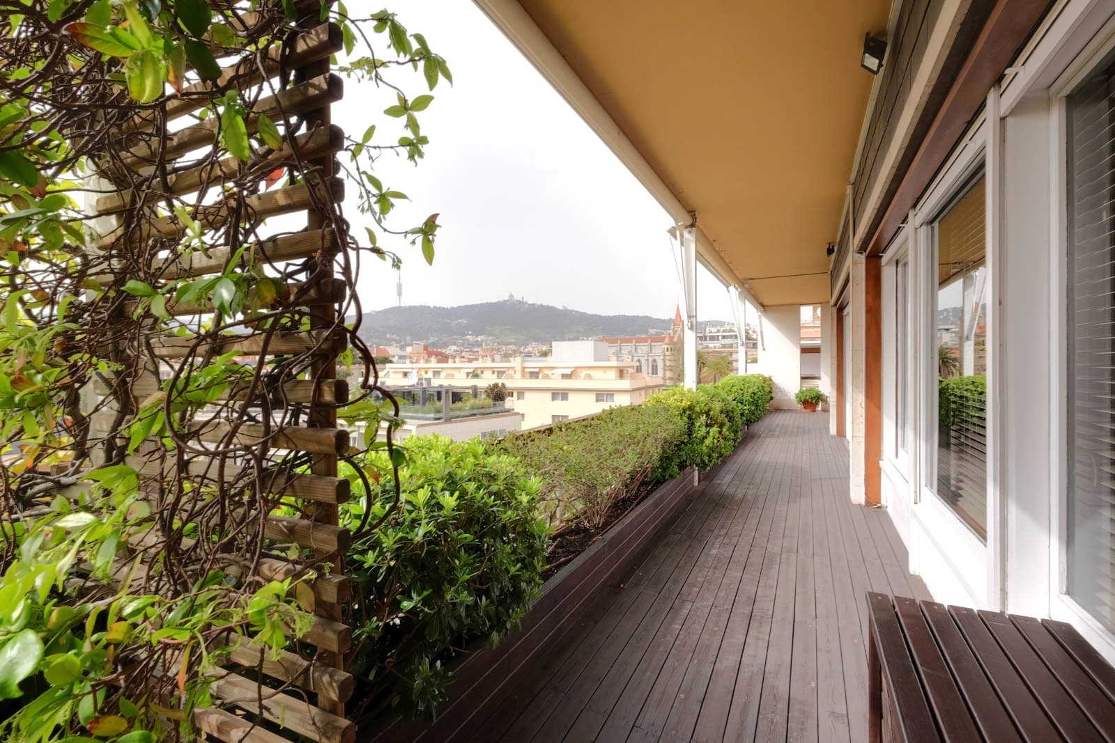 vivienda